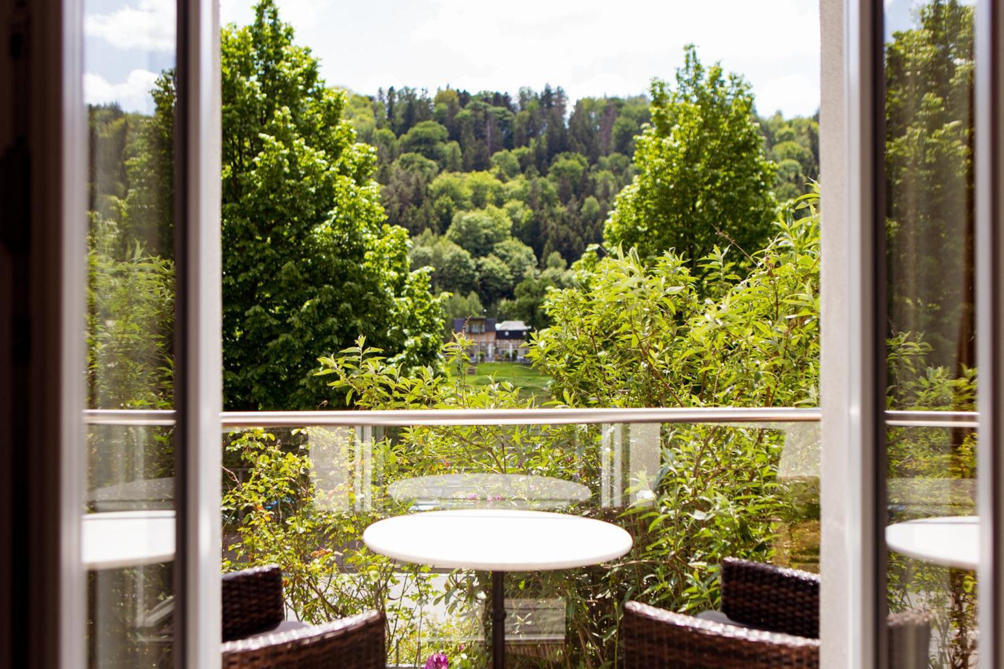 Villa Elbufer Bad Schandau Exteriér fotografie